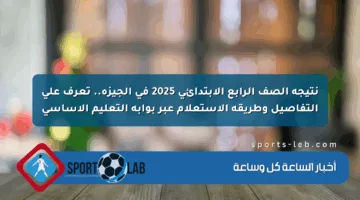 نتيجة الصف الرابع الابتدائي 2025 في الجيزة.. تعرف على التفاصيل وطريقة الاستعلام عبر بوابة التعليم الأساسي
